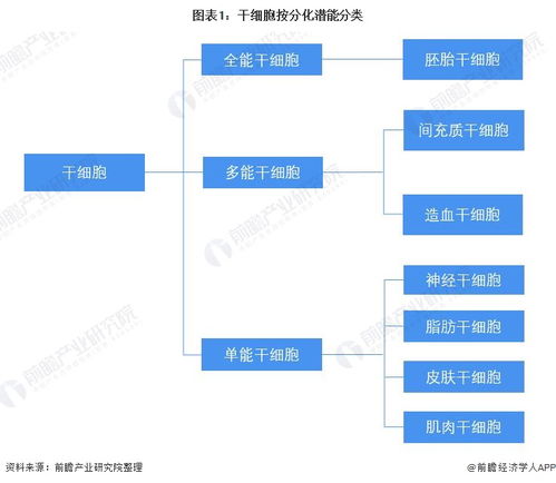 預(yù)見(jiàn)2022 中國(guó)干細(xì)胞醫(yī)療產(chǎn)業(yè)全景圖譜——產(chǎn)業(yè)鏈、競(jìng)爭(zhēng)格局與前景展望